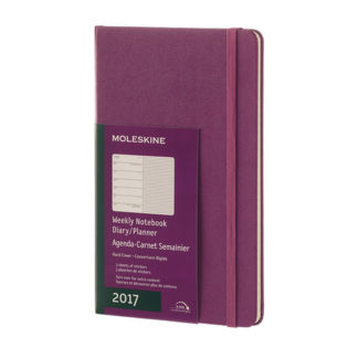 Еженедельник Moleskine Classic Wknt Large